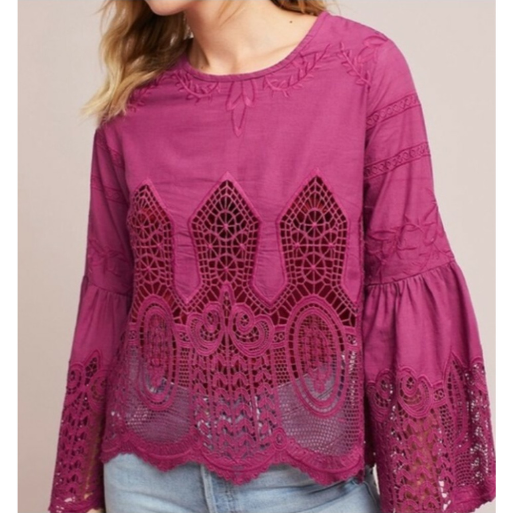 Anthropologie Chloe Oliver Lace Embroidered Blouse, Size L 8-12